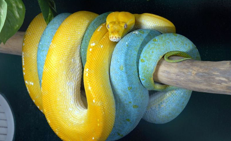 برنامه نویسی پایتون (نسخه قدیمی) Dayche Courses Cover Python 1